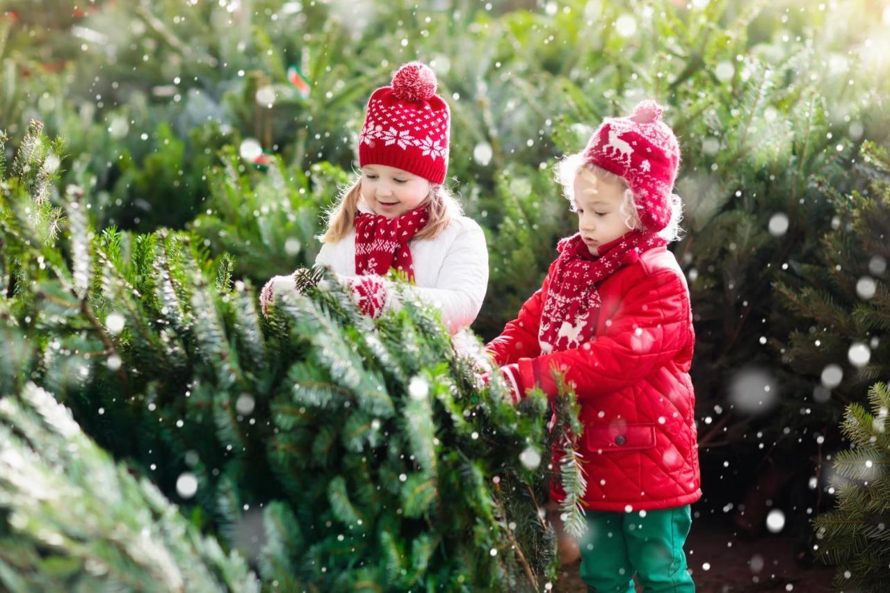 Family Wellhouse Green Garden Direct In Salzburg, Sunny Big Garden, Up To 16 Pax, Bikes For Free, Bbq, Sunbeds, Parking For Free, 15 Min Sound Of Music Bagian luar foto