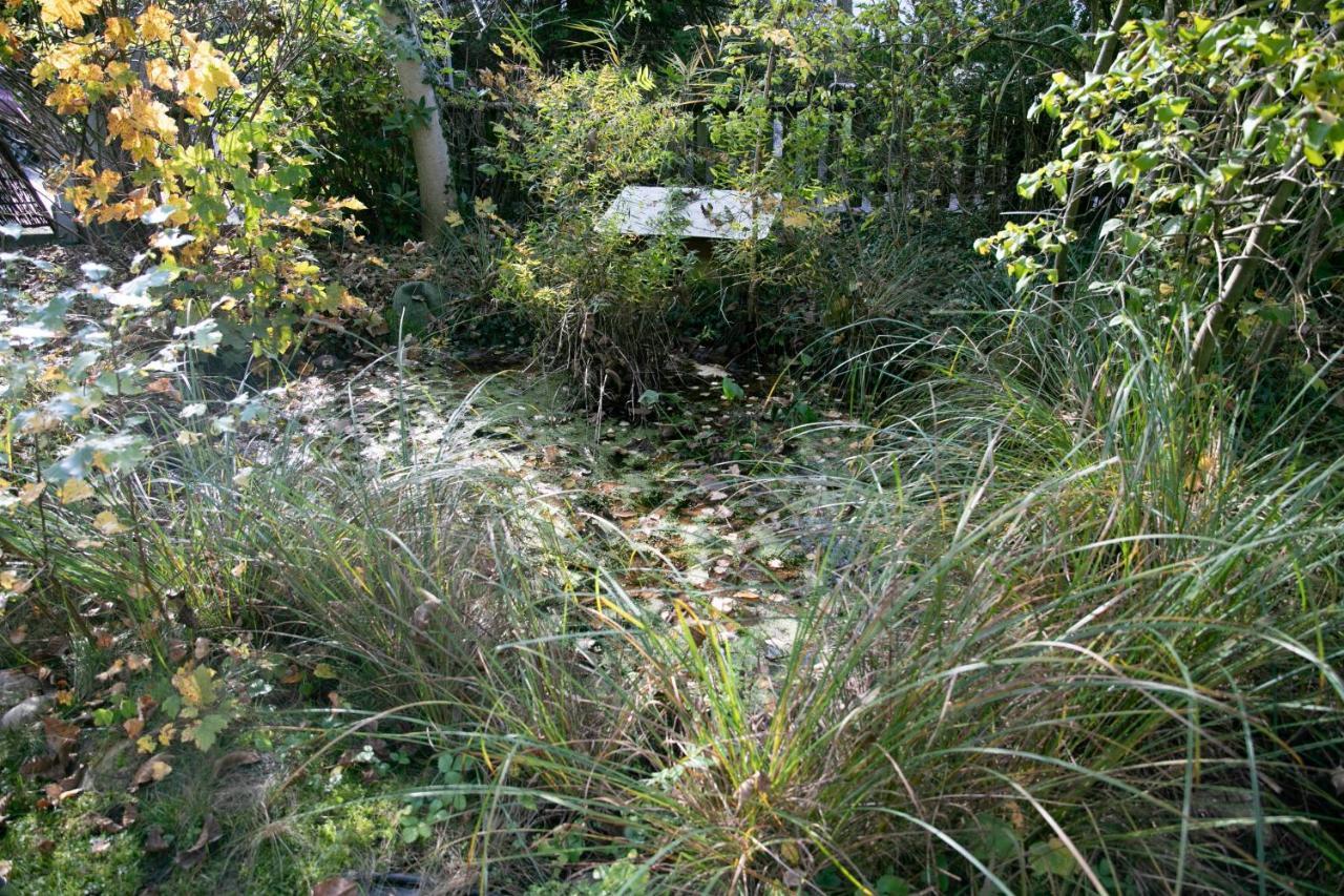 Family Wellhouse Green Garden Direct In Salzburg, Sunny Big Garden, Up To 16 Pax, Bikes For Free, Bbq, Sunbeds, Parking For Free, 15 Min Sound Of Music Bagian luar foto